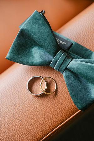 Anel and Carlos Castle Green Wedding