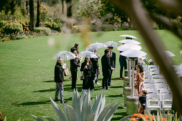 Elizabeth and Paul Wedding