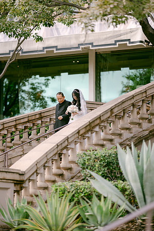 Elizabeth and Paul Wedding