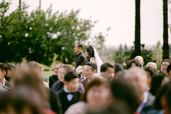 Elizabeth and Paul Wedding