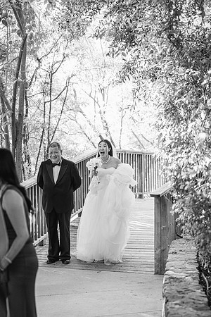 Karen and Joe Wedding 09/22/2024